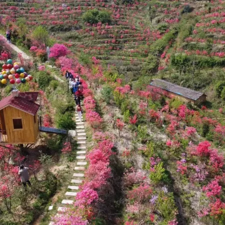 Yuexi Lingxi Shengtai Family Farm Homestay