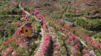 Yuexi Lingxi Shengtai Family Farm Homestay - parcheggio