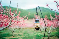 LUX* Tea Horse Road Peach Valley Hotels in Yulong