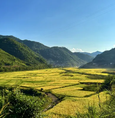 Yuejingyun Lake View Hostel Hotels in Qiubei