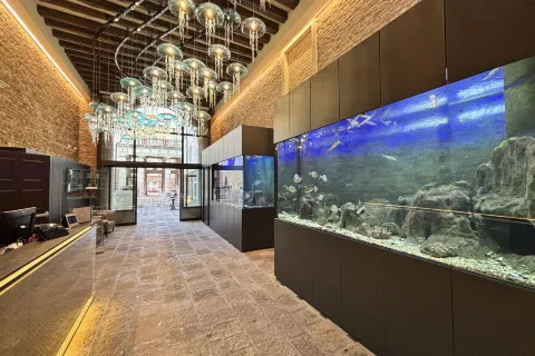 Hotel Aquarius Venice