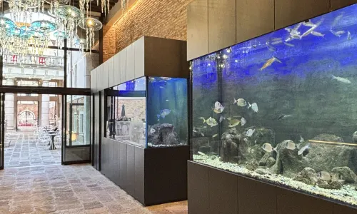 Hotel Aquarius Venice