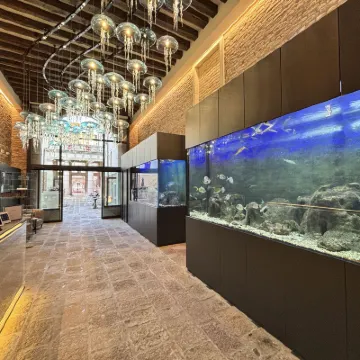 Hotel Aquarius Venice Hotels near San Cassiano