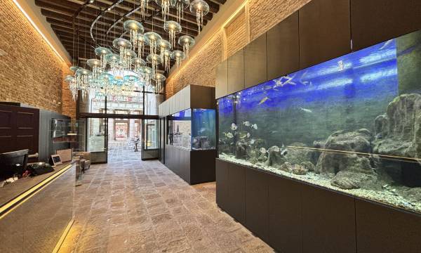 Hotel Aquarius Venice