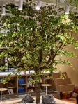 Wuyin Liangju High-altitude Scenic Homestay (Xingyi DCF) - Træningscentre