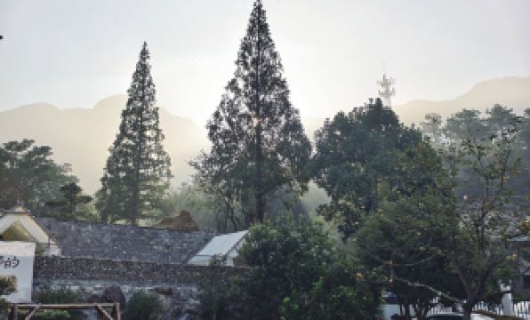 LU SHAN ZHENSHANYUE INN