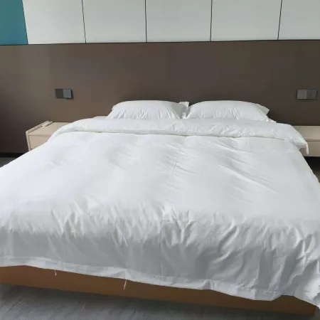 Teacher Activity Center Homestay