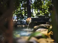 TUI BLUE ROYAL OCEANVIEW HOT SPRING - Hot Springs