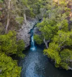 Narrows Escape Rainforest Retreat - Romantic