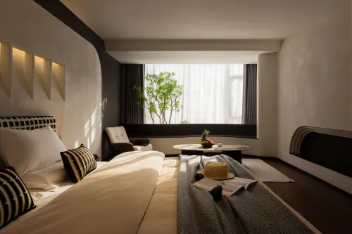 Yi Sheng Yi Yu | Starry Night Light Luxury Oxygen-Rich Boutique Inn - baru