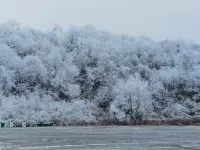 Tuyue Homestay (Lvcongpo Ski Resort)