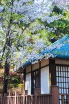 Yunqi Linshe Hotel - Bungalows
