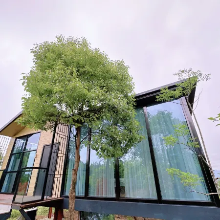 Dehua Lvtai Homestay