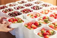 โรงแรมเหลียนเฉวียนโอเอโดะ (ซินจวง เซี่ยงไฮ้)