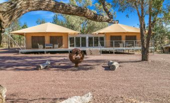 a turkey is standing in a grassy area with trees and a building behind it at Wilpena Pound Resort