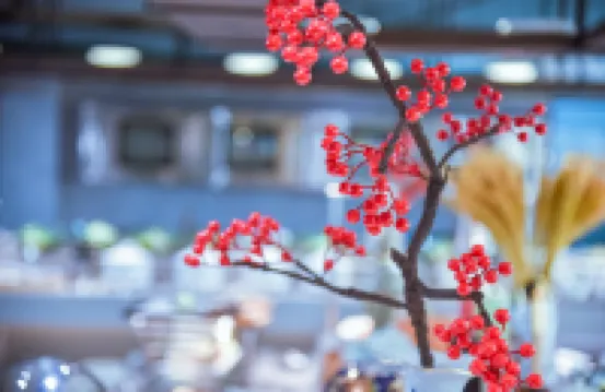 瑞都·萬融商務大酒店