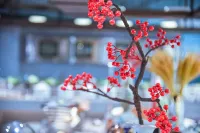 瑞都·萬融商務大飯店