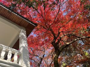 莫干山頤園