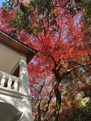 Yiyuan Hotel Hotels near Wuling Village