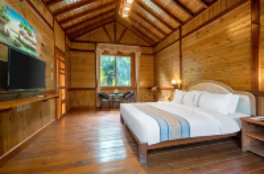 Qingxi Linpan Wenkuangquan Chalet Villa