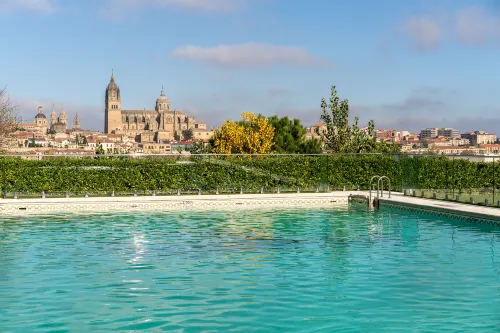 Parador de Salamanca Hotel di Campo Charro