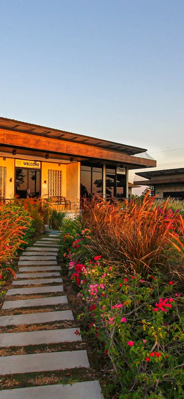 รูปภาพของไวท์น็อตเขาใหญ่