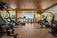 Cicilia Danang Hotels & Spa - gimnasio