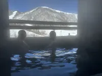 호텔 그린 플라자 하쿠바