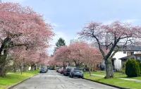 Vancouver Airport Apartment Hotel
