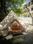 Pingwu Qingqiugu Homestay