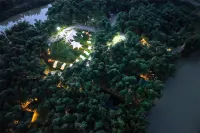 Bamboo Forest Wonderland - Mountain view