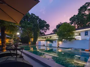 Leisurely Dwelling: Hidden Realm of Trees