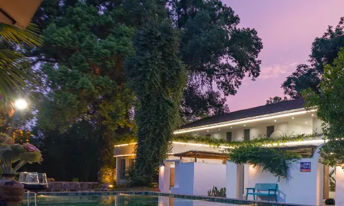 Leisurely Dwelling: Hidden Realm of Trees