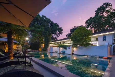 Leisurely Dwelling: Hidden Realm of Trees