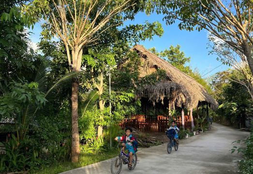 5. 무엉 딘 로지..