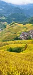 Longsheng Faraway Town Homestay (Longji Terraced Field No. 2 Viewing Platform) - Kitchen