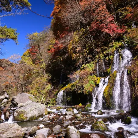 Wan Wan Paradise Yatsugatake