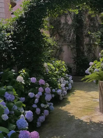 SHAREPINNK Guesthouse Отели рядом с достопримечательностью «Taohualing Park»