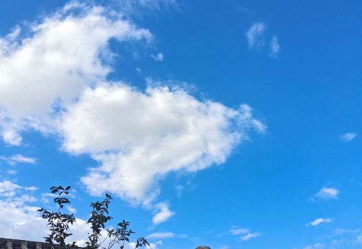 패방가 길거리 음식