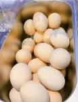 根基商務飯店（五華縣人民政府店） - 早餐