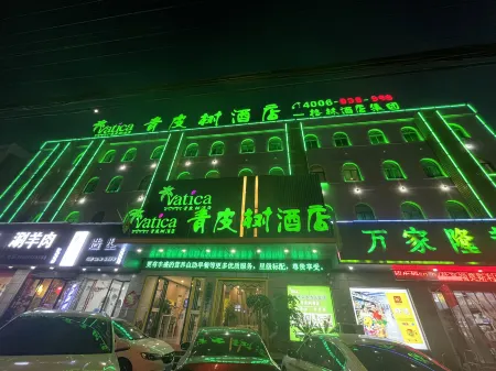 Vatica Jiang Zi Ya square shop Отели в г. Линьцюань