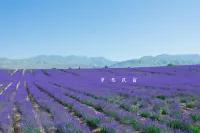 Huocheng Ziyou Homestay - Mountain view