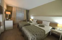 ナディール ビジネス ホテル のホテル