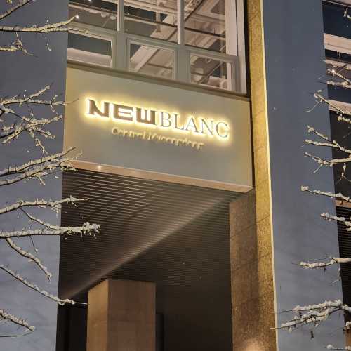 紐布朗中心明洞酒店