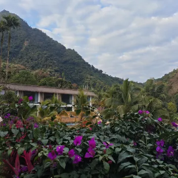 Purple Windchime  Retreat