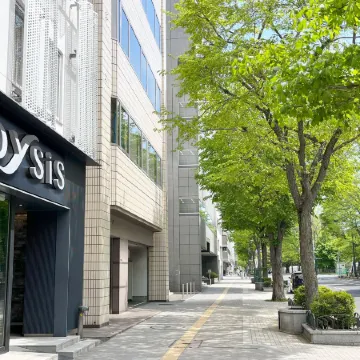 Odysis Sapporo Odori Koen Hotel