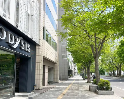 Odysis Sapporo Odori Koen Hotel Hotels in Sapporo