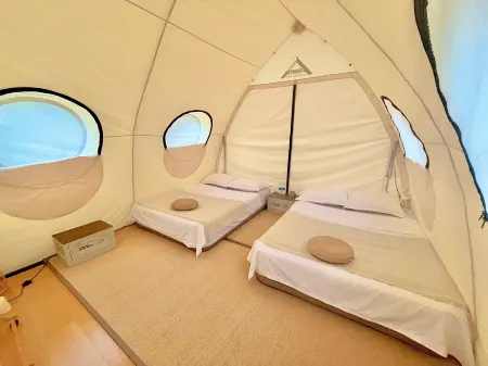 Bloom Farm Campground Отели в г. Шибин