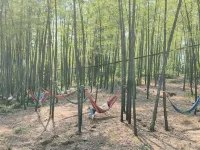 Shunan Bamboo Sea Bamboo Flavor Inn (Haizhonghai Jade Green Corridor Store) Hotels in Changning