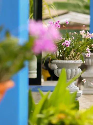 รูปภาพของโรงแรมท๊อฟฟี่โฮม